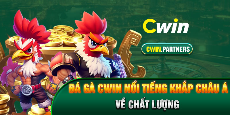Đá gà Cwin nổi tiếng khắp châu Á về chất lượng